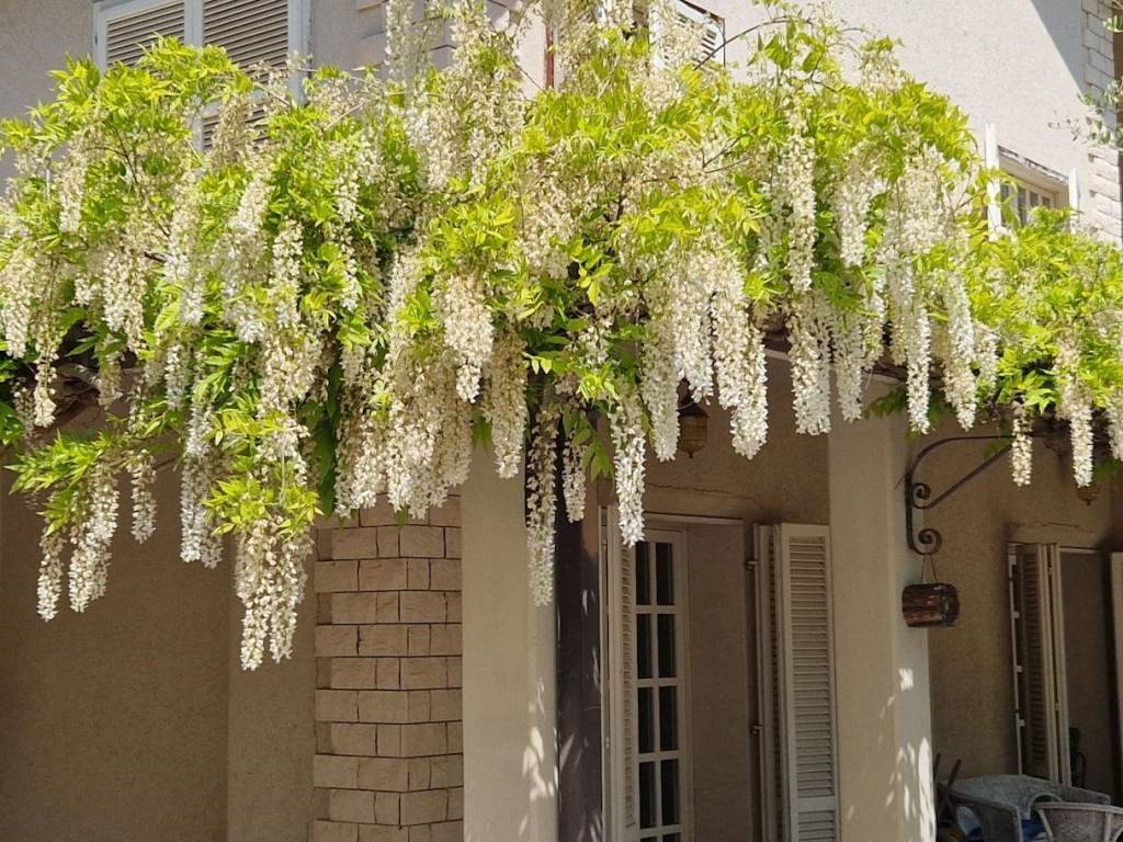 Villa a Teramo in Via Paolo Cugnini, 15 - Foto 4