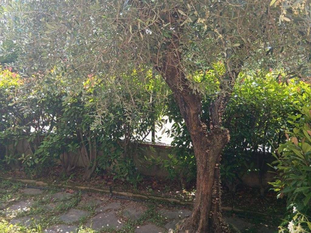 Villetta a schiera a Pistoia - Foto 2