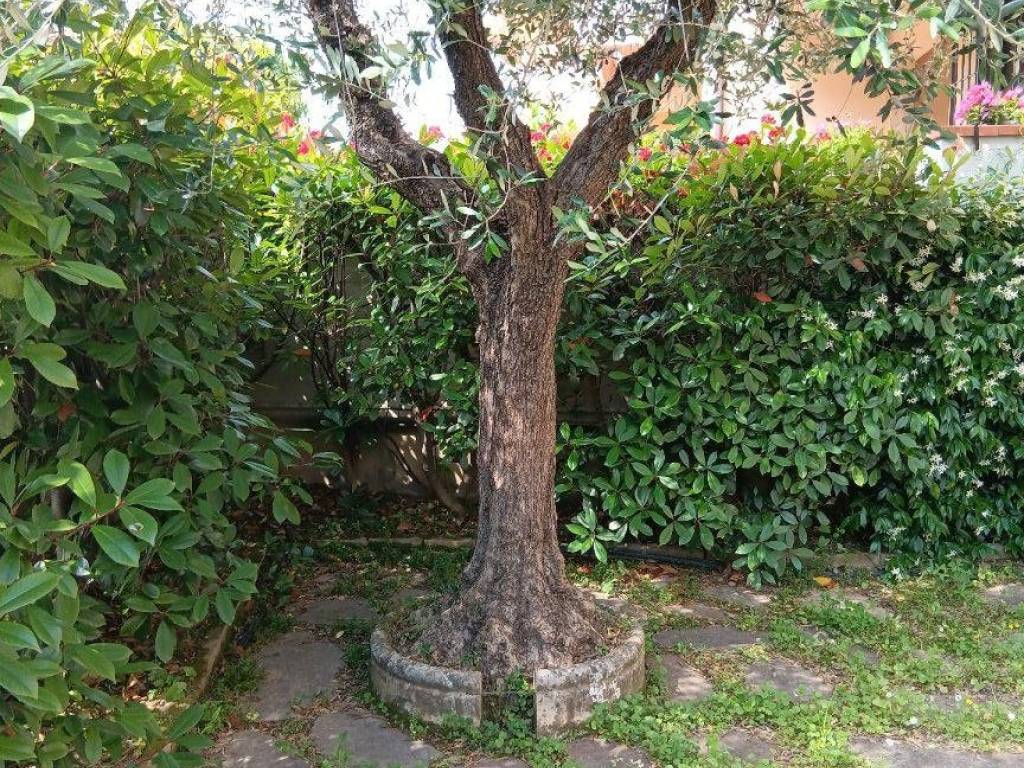 Villetta a schiera a Pistoia - Foto 3