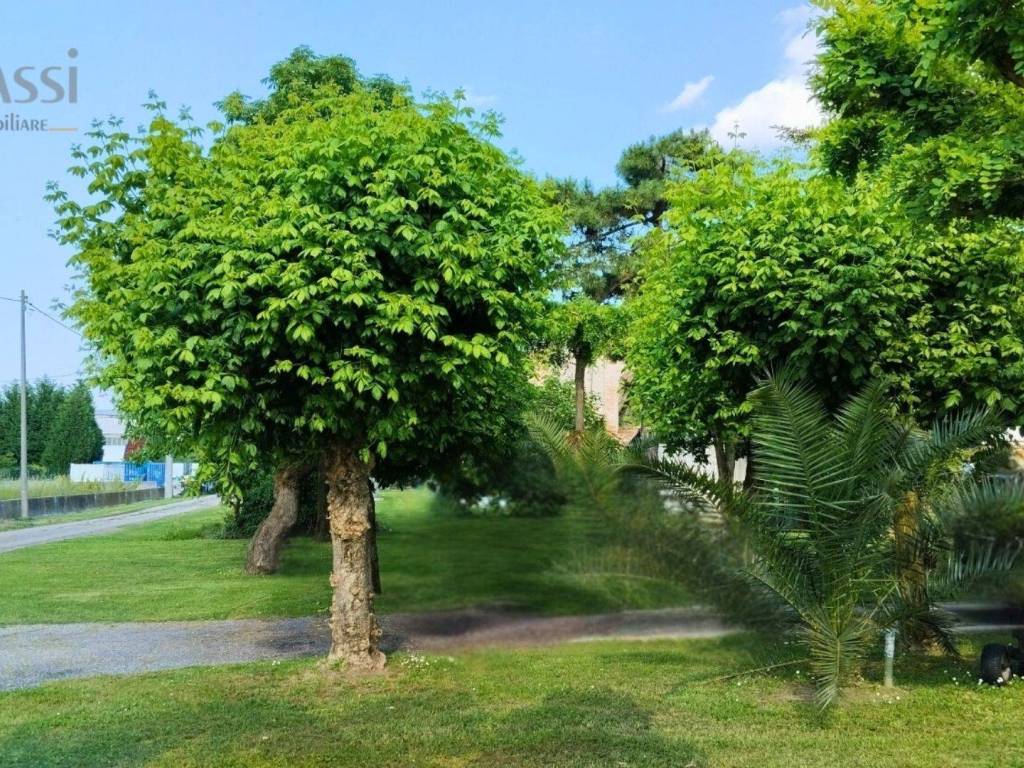 Villa a Alfonsine in Via W. Antonellini, 68 - Foto 4