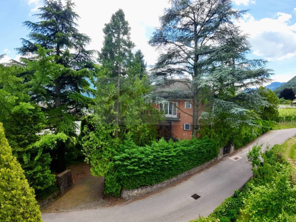 immagine di copertina