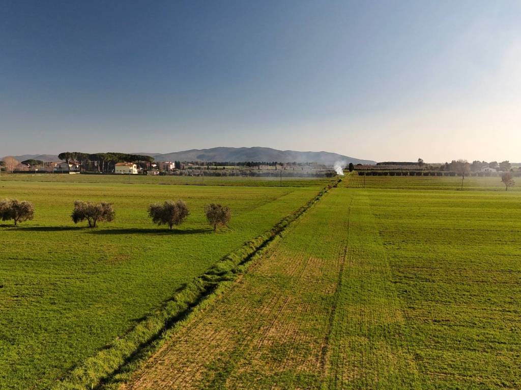 Rustico / casale a Orbetello in Strada Vicinale dei Cavallini - Foto 5