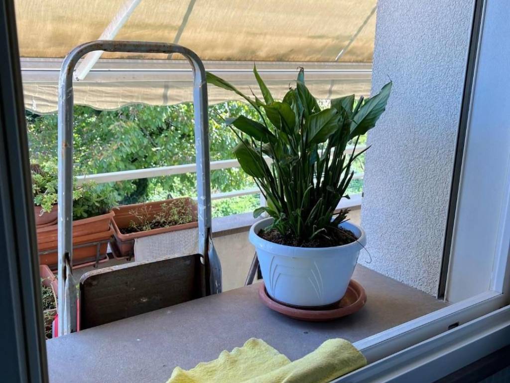 Appartamento a San giuliano terme - Foto 3