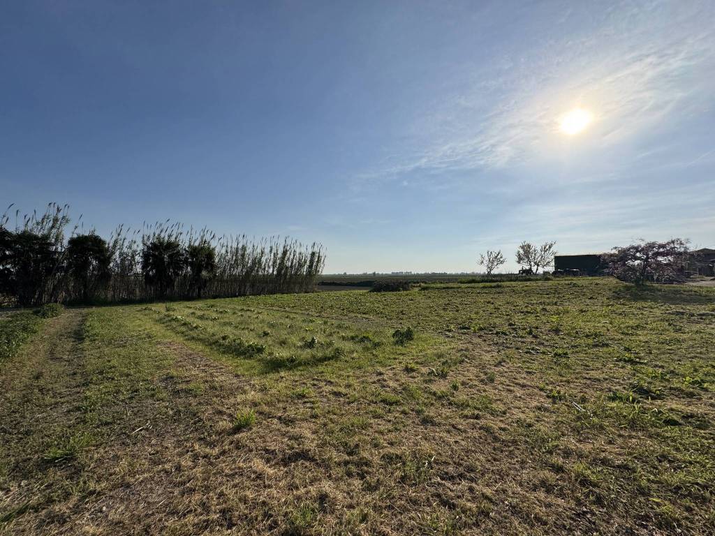 Villa a Loreo in Via Canalvecchio - Foto 5