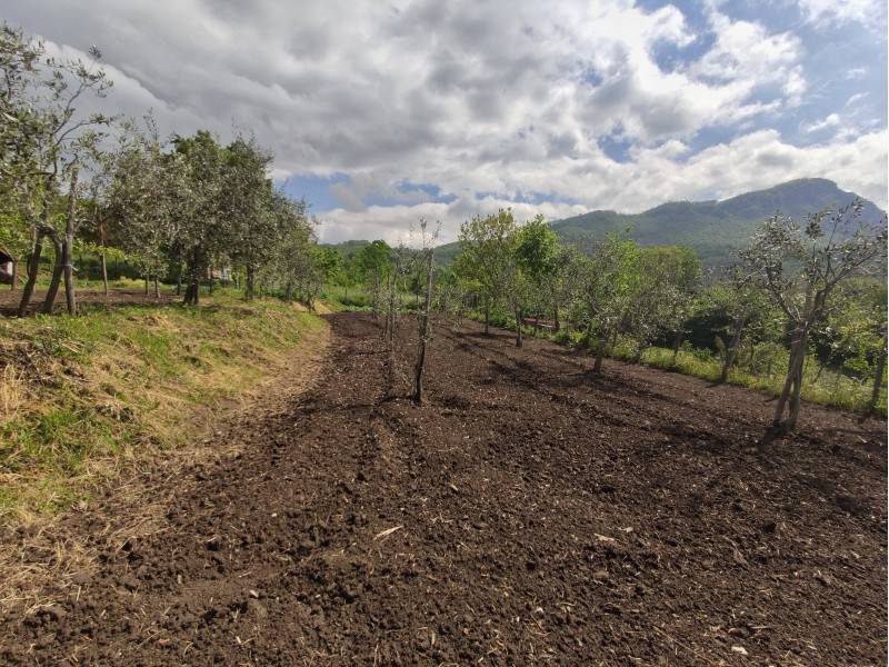 Terreno a Solofra - Foto 5