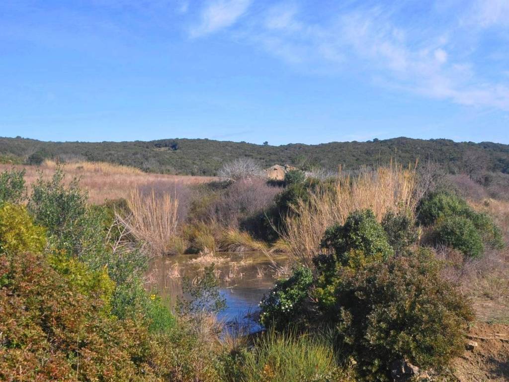 Rustico / casale a Rosignano marittimo - Foto 3