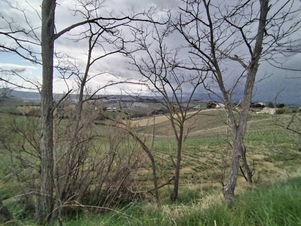Terreno a Monteprandone in via colle appeso - Foto 3