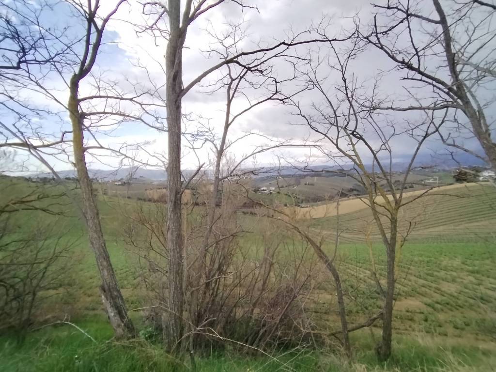 Terreno a Monteprandone in via colle appeso - Foto 4