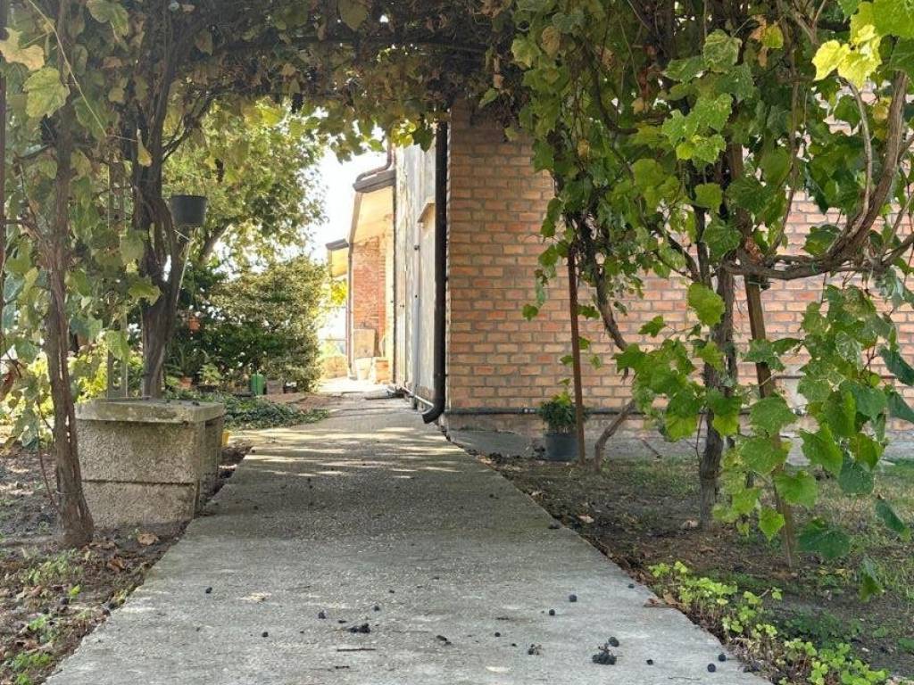 Terreno a Copparo - Foto 4