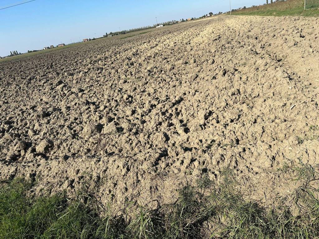 Terreno a Copparo - Foto 5
