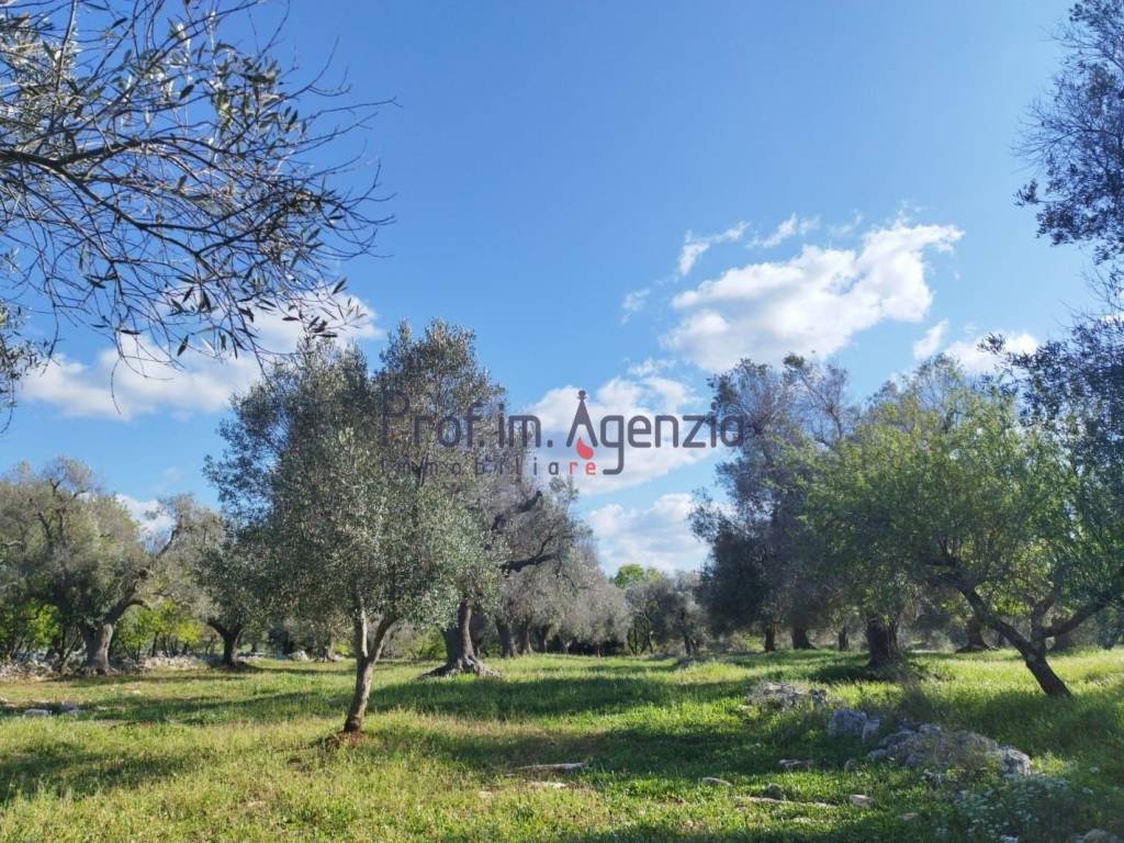 Terreno a Carovigno - Foto 3