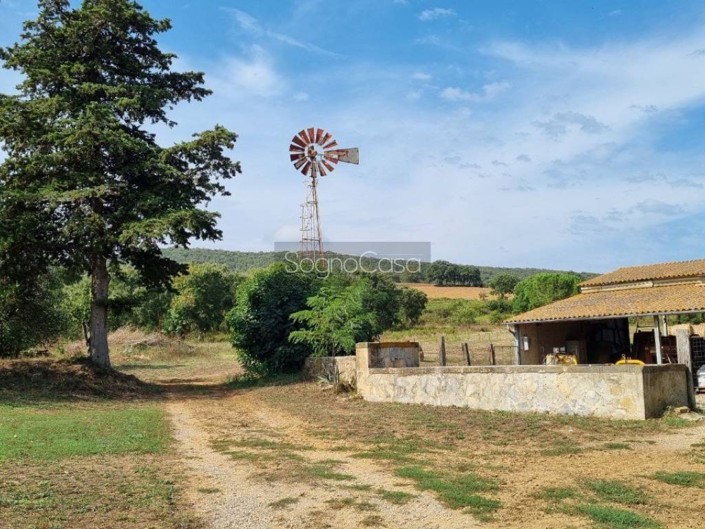 Rustico / casale a Magliano in toscana in strada provinciale talamone - Foto 3