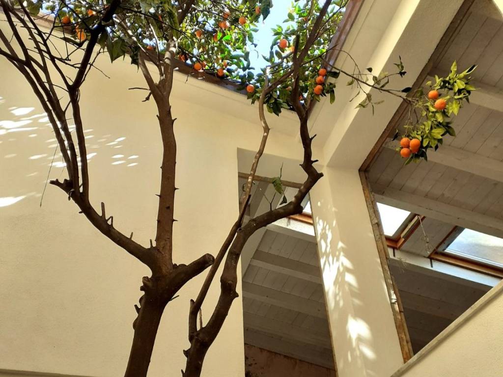 Casa indipendente a Sarzana in Via Giuseppe Mazzini - Foto 3