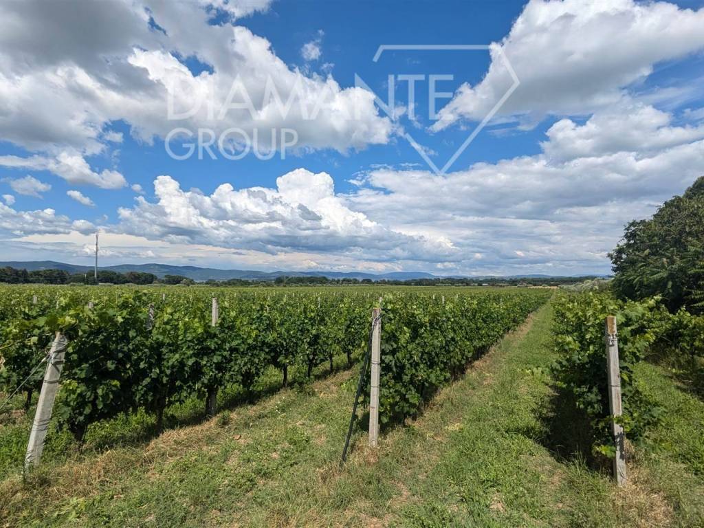 Terreno a Castiglione del lago - Foto 3