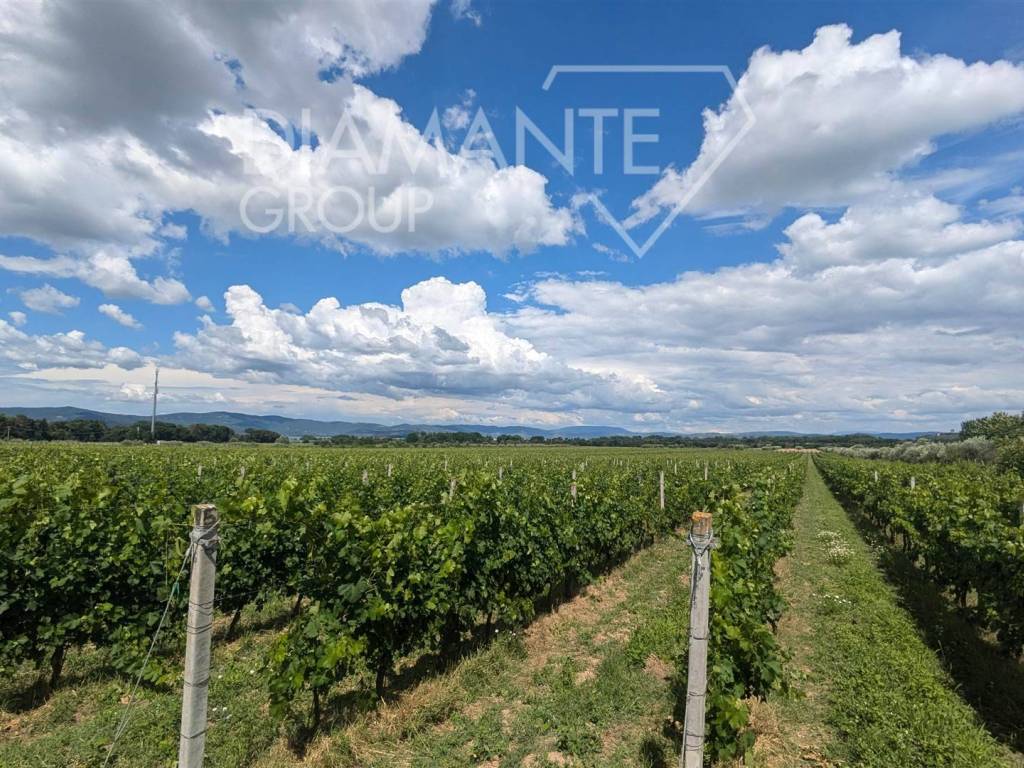 Terreno a Castiglione del lago - Foto 5