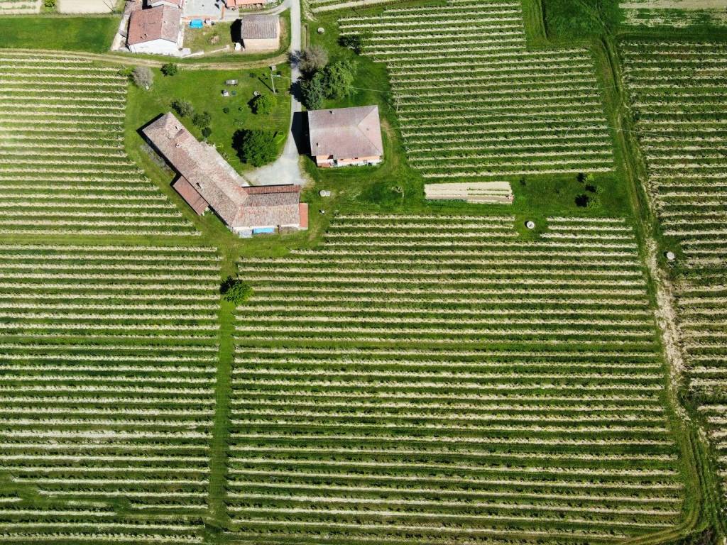 Terreno a Agliano terme in Regione Vianoce, 10 - Foto 3