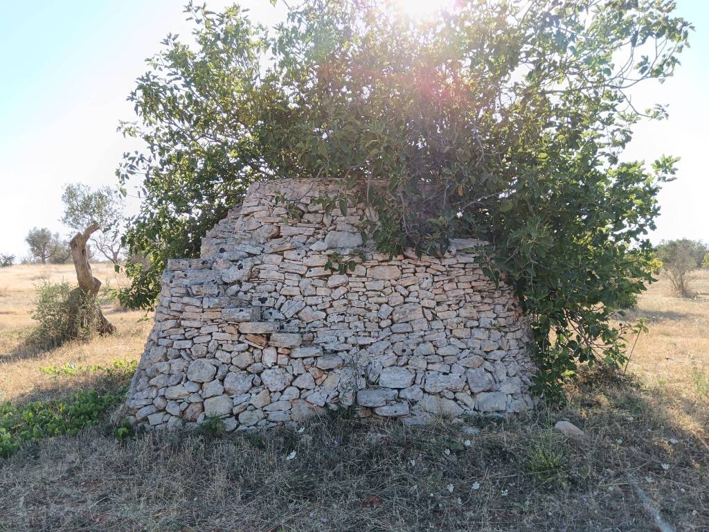 Terreno a Nardò - Foto 2