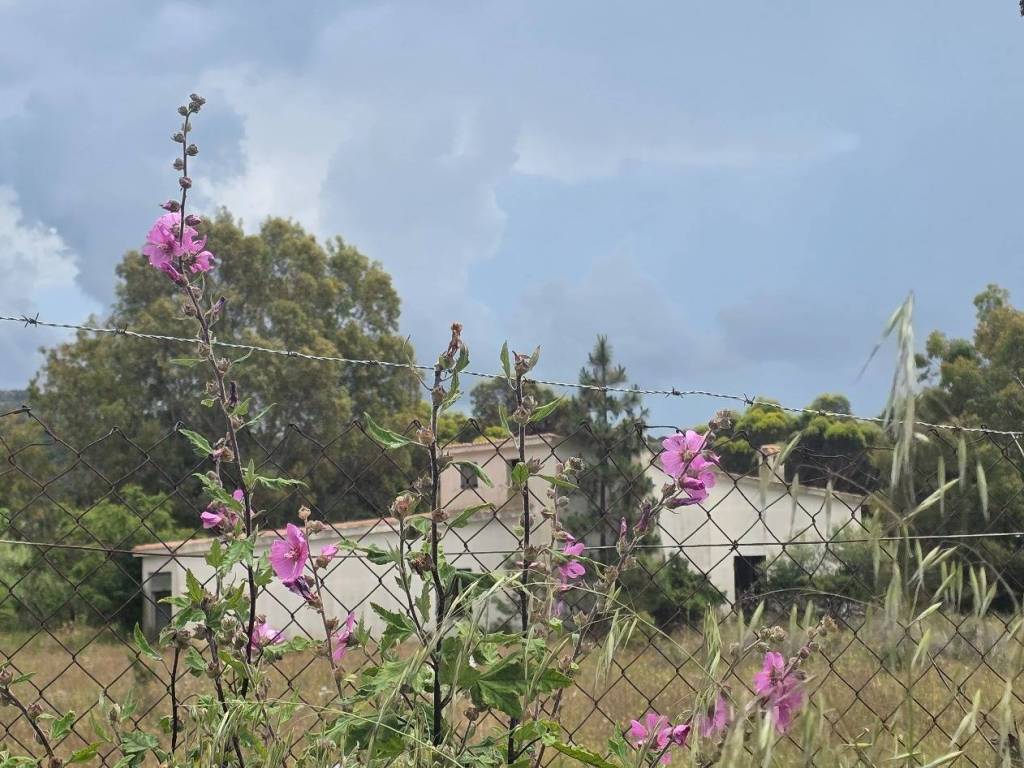 Rustico / casale a Sinnai in Viale A. D. F. Walderode - Foto 2