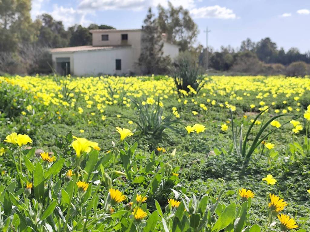 Rustico / casale a Sinnai in Viale A. D. F. Walderode - Foto 5