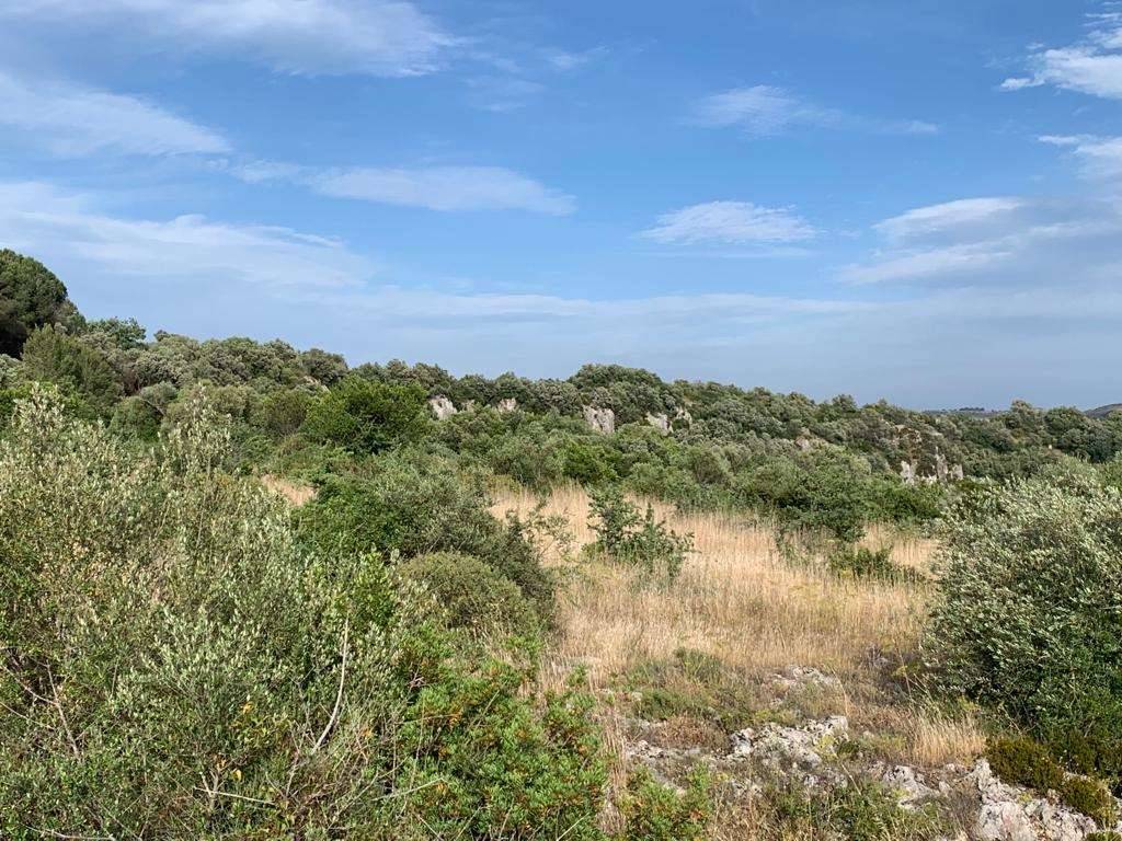 Terreno a Noto in ss287 - Foto 4