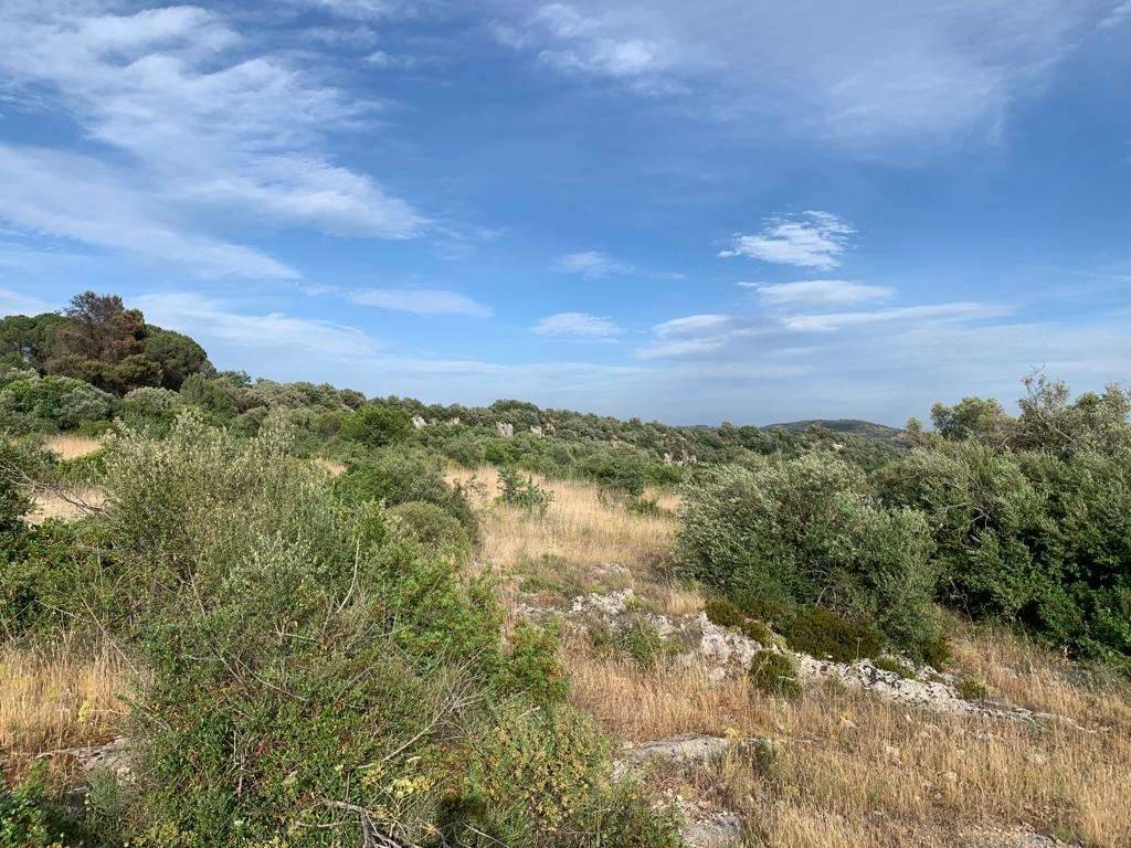 Terreno a Noto in ss287 - Foto 5