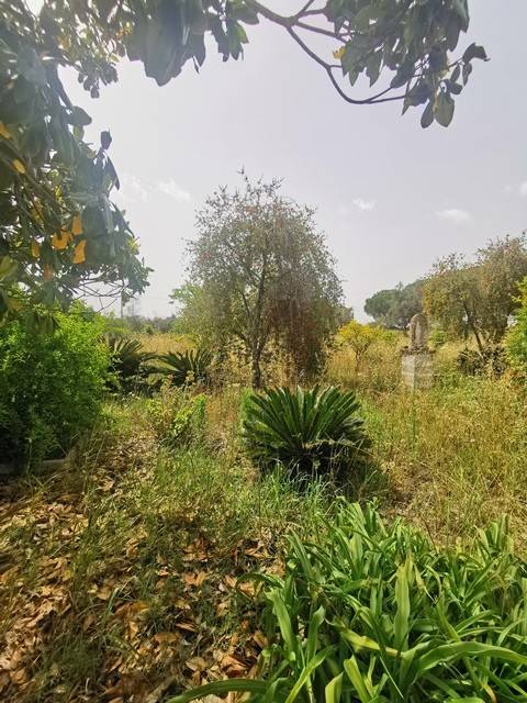 Rustico / casale a Cutrofiano in SP198 - Foto 5