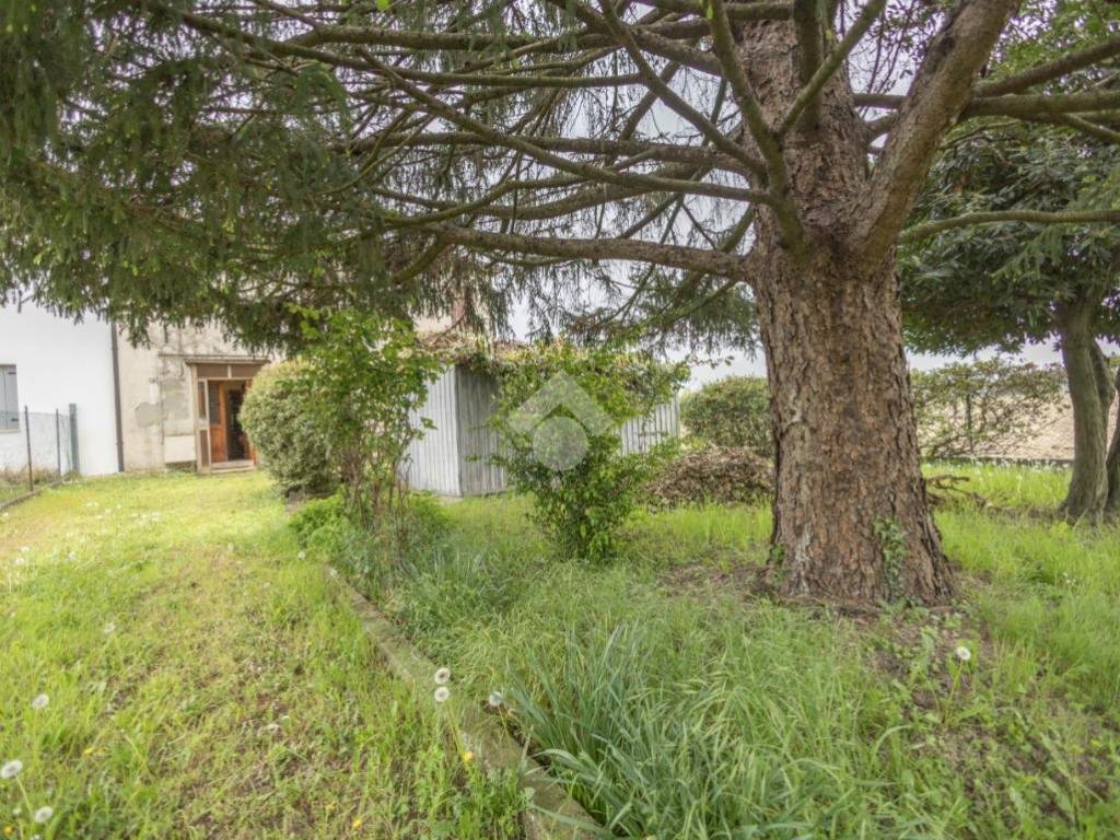 Villa a Mira - Foto 4
