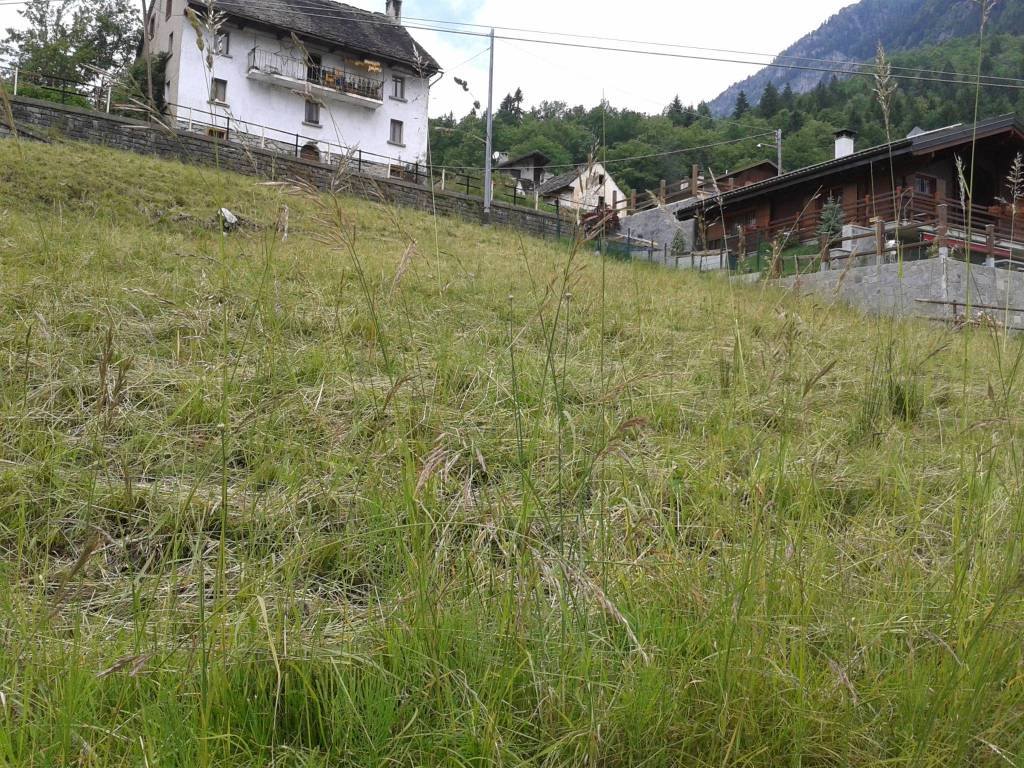 Terreno a Premia in Frazione Pioda 2 - Foto 2