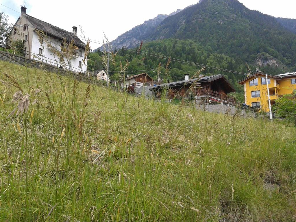 Terreno a Premia in Frazione Pioda 2 - Foto 3
