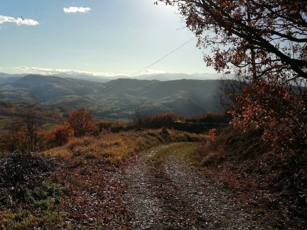 Rustico / casale a Gottasecca in Via Provinciale - Foto 5