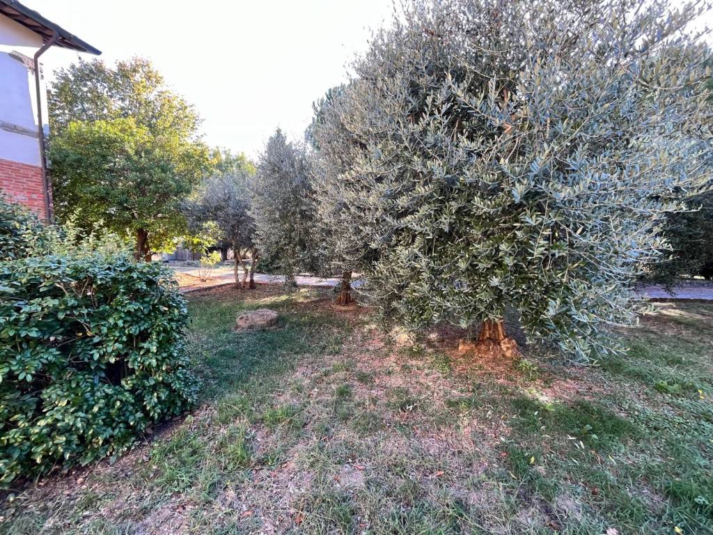 Rustico / casale a Cortona in Case Sparse Burcinella, 177 - Foto 5