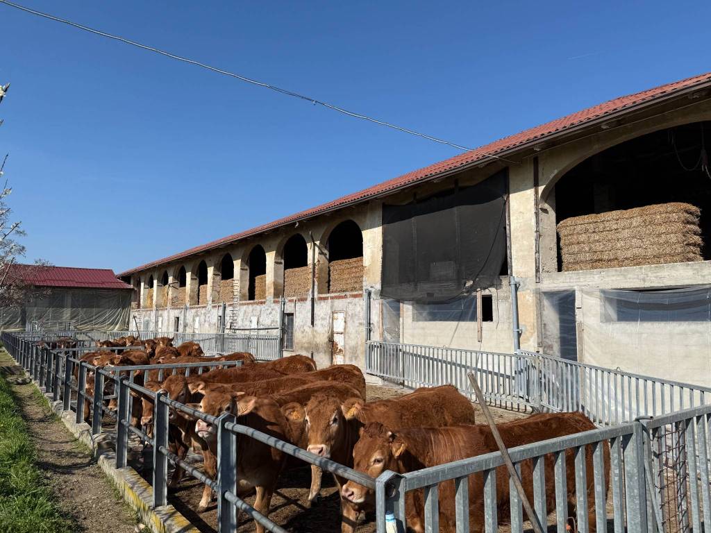 Immobile a Costigliole d'asti in Strada Tenuta Motta, 4 - Foto 2