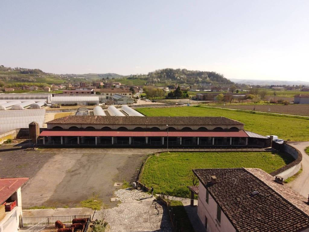 Immobile a Costigliole d'asti in Strada Tenuta Motta, 4 - Foto 5