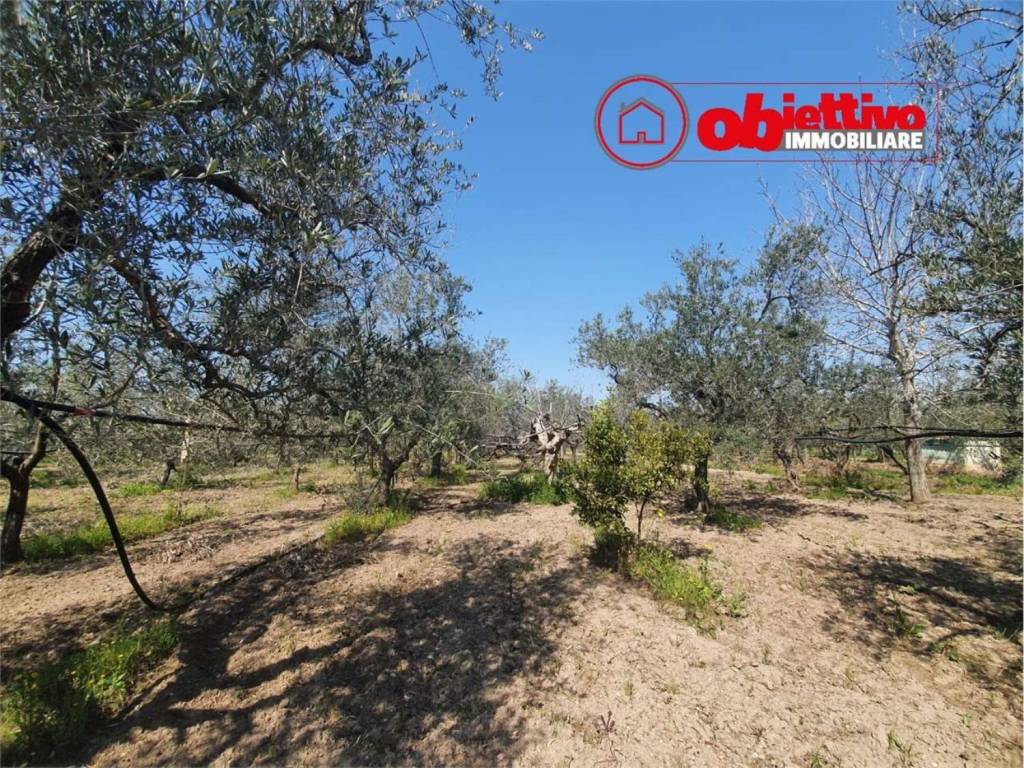 Terreno a Cerignola in Via Trinitapoli - Foto 2