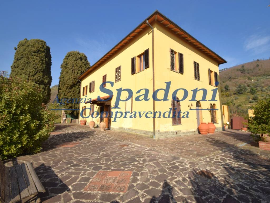 immagine di copertina