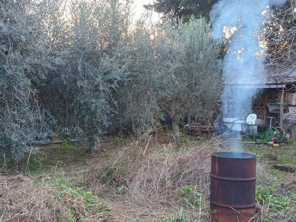 Terreno a Campiglia marittima in Via Suveretana - Foto 2