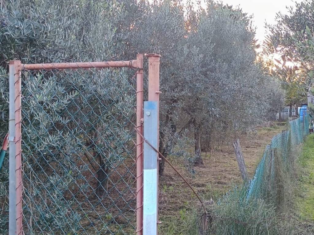 Terreno a Campiglia marittima in Via Suveretana - Foto 3