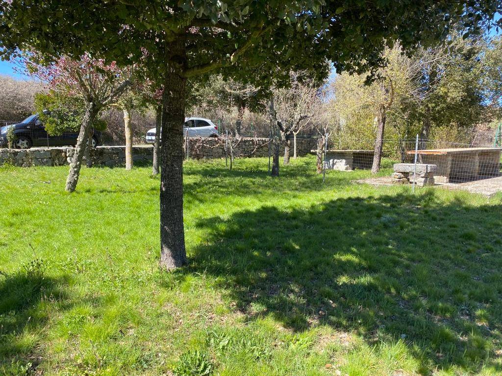 Rustico / casale a Mamoiada in Via San Cosimo - Foto 2