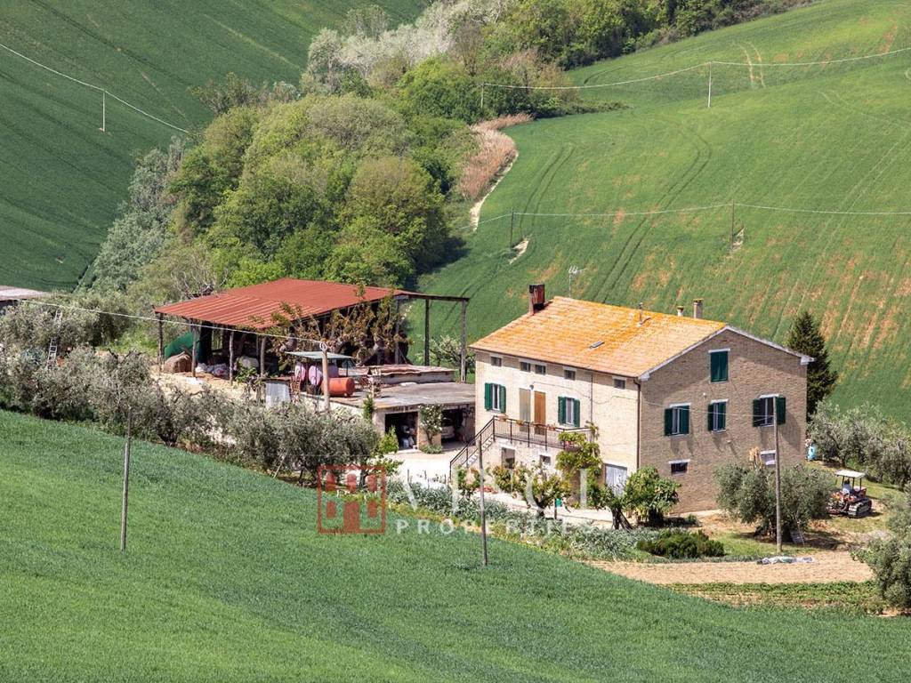 Rustico / casale a Fermo - Foto 3
