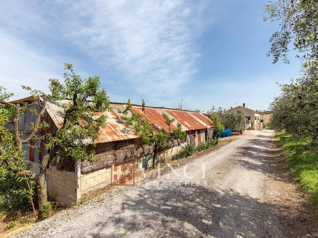 Rustico / casale a Fermo - Foto 5