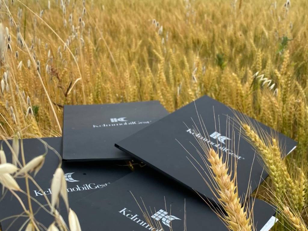 Terreno a Rivergaro in Via Strada Statale 45, 10 - Foto 2