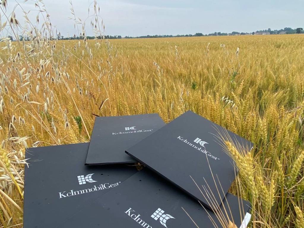 Terreno a Rivergaro in Via Strada Statale 45, 10 - Foto 3