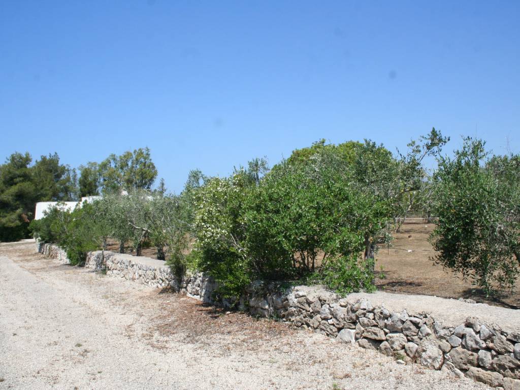 Villa a Ugento in Traversa C San Vito, 5 - Foto 2