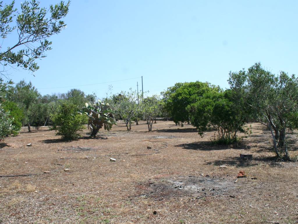 Villa a Ugento in Traversa C San Vito, 5 - Foto 5