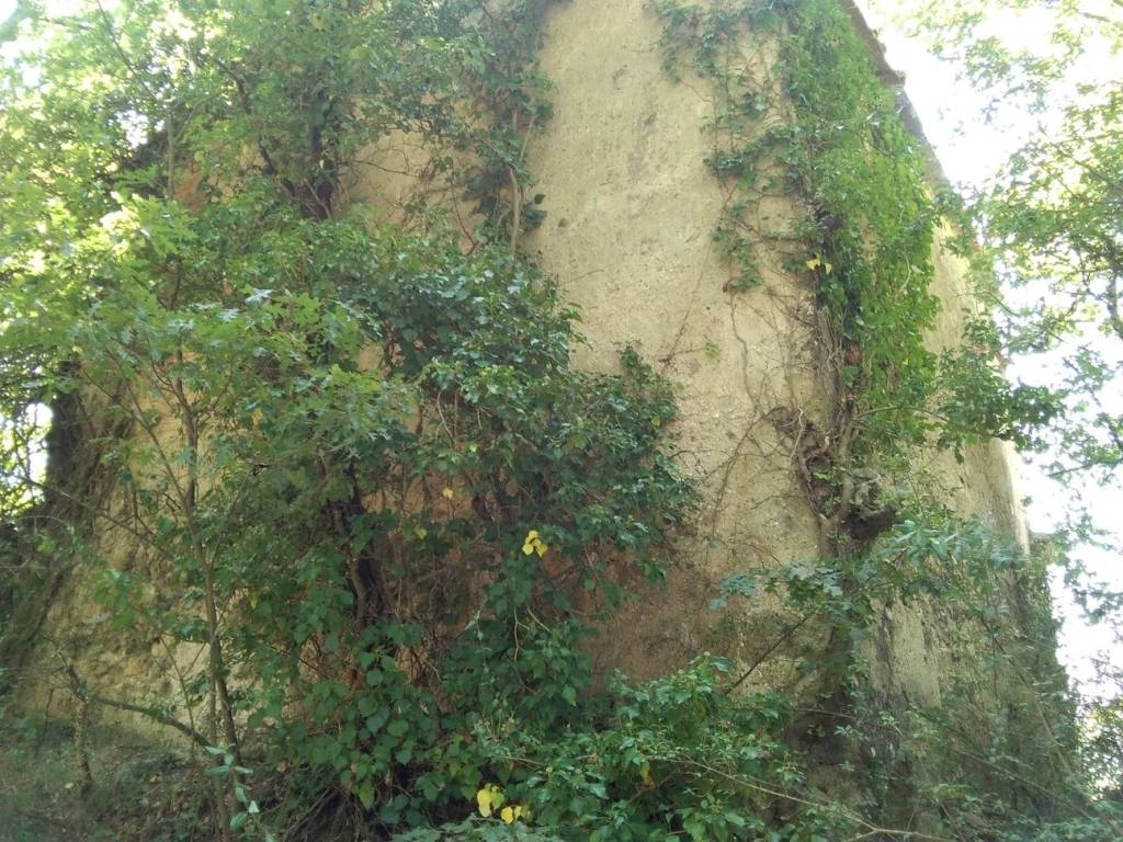 Terreno a Montieri in Località Reticaggio - Foto 4