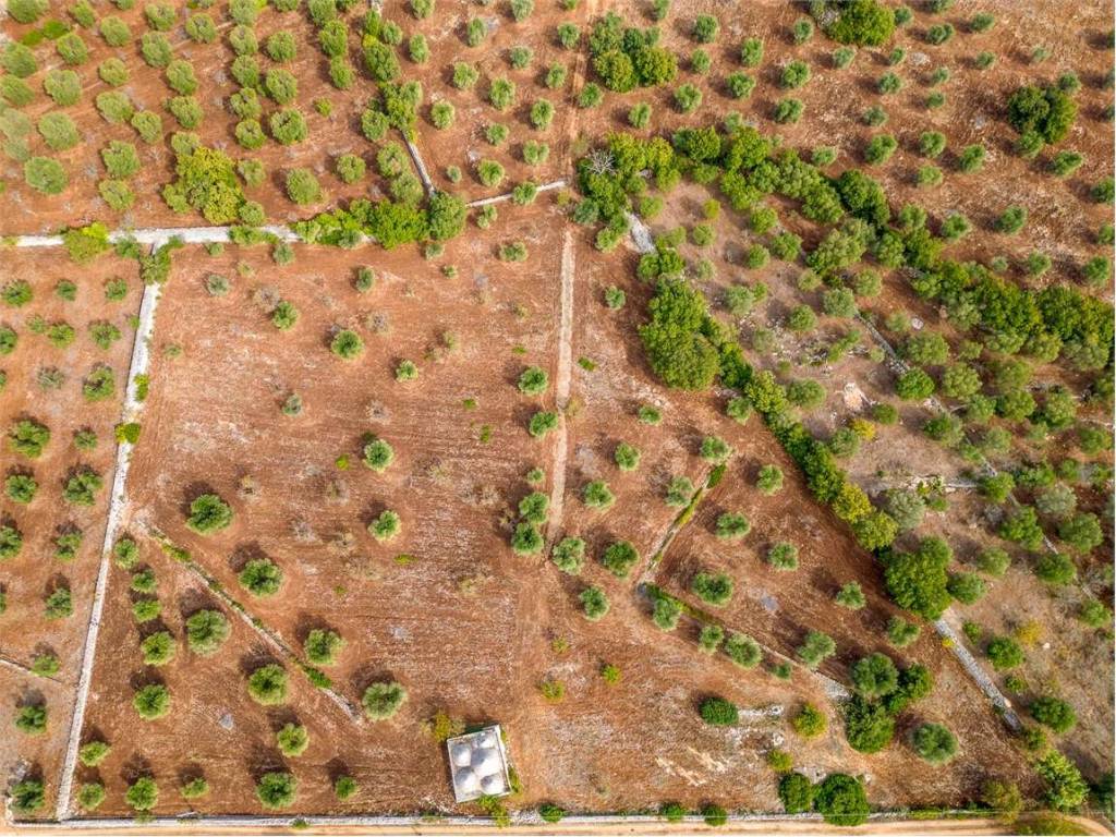 Rustico / casale a Ostuni - Foto 3