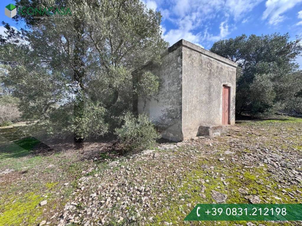 Rustico / casale a Ostuni in Contrada Cervarolo - Foto 2