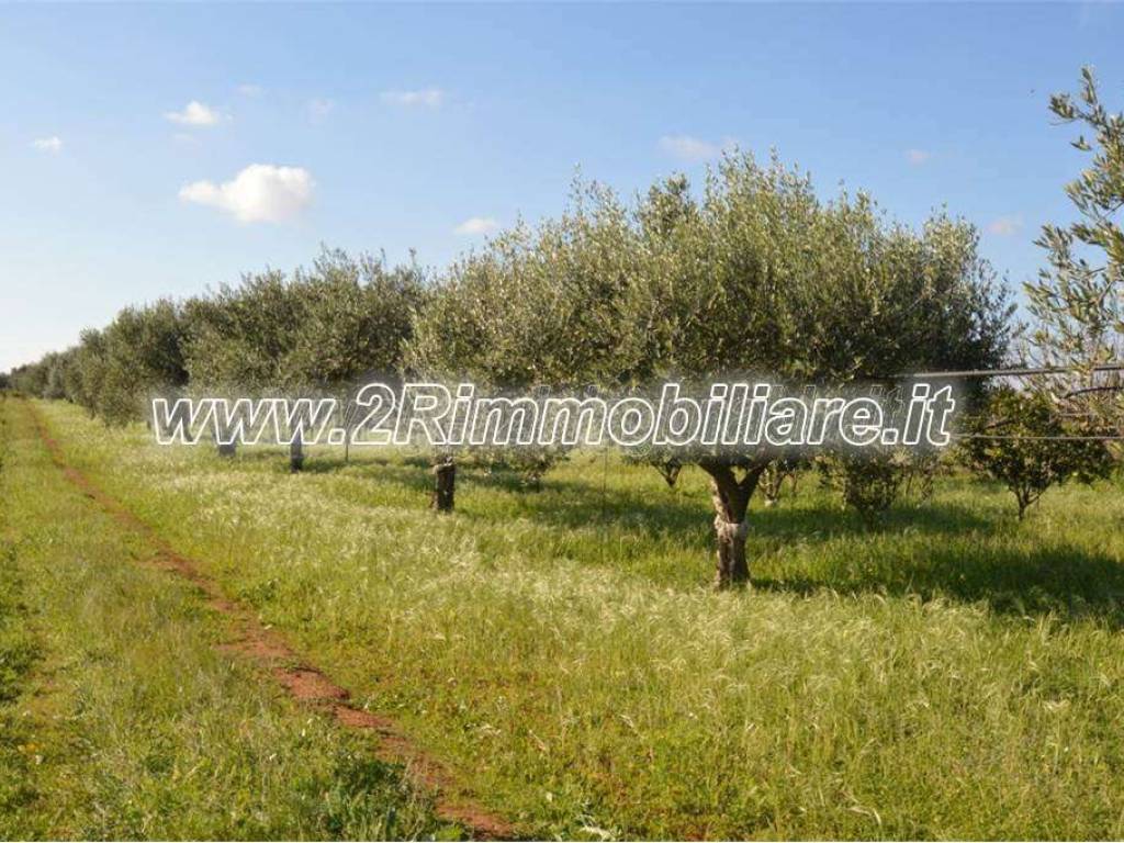 Terreno a Mazara del vallo in ss115 - Foto 4