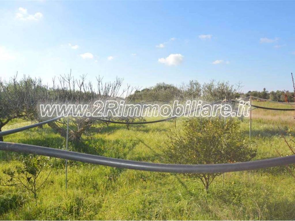 Terreno a Mazara del vallo in ss115 - Foto 5