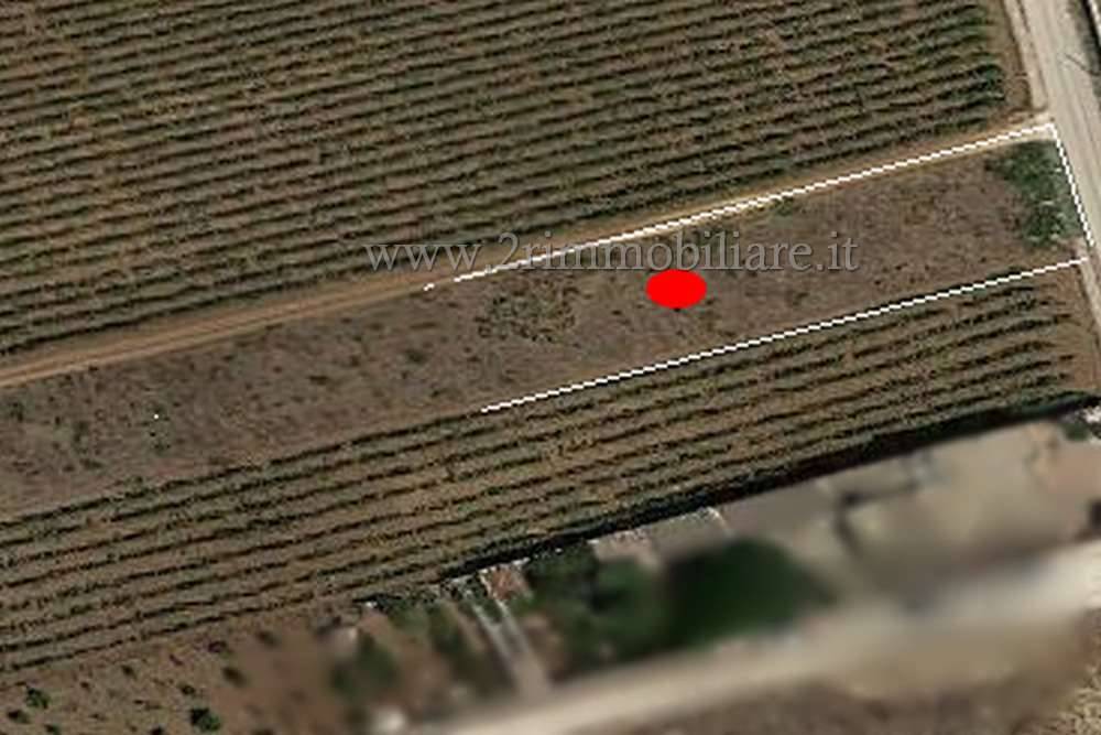 Terreno a Mazara del vallo in c.da Bianca - Foto 2